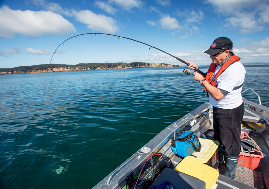 Softbait fishing longer rods The Fishing site