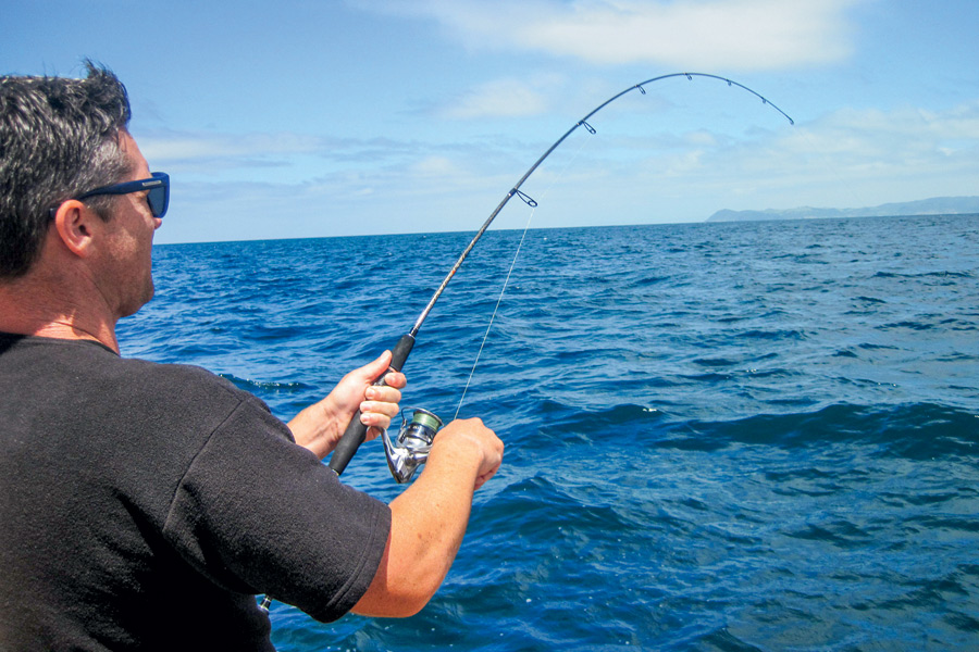 Softbaiting For Beginners
