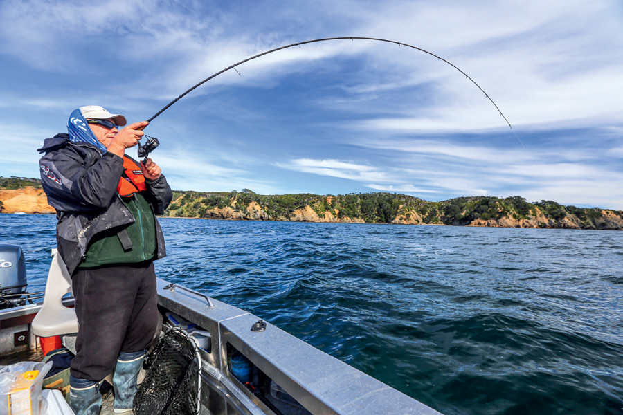 Softbaiting For Beginners
