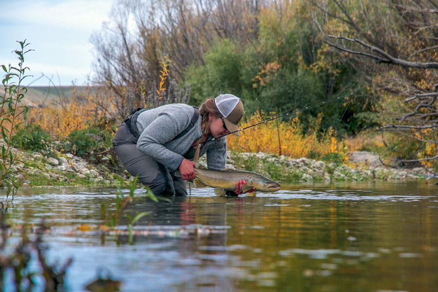 Softbaiting for trout