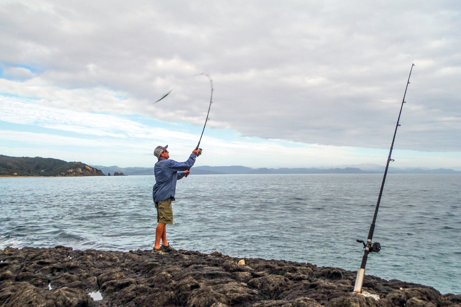 Stickbait fishing off the rocks Tips and tricks The Fishing site