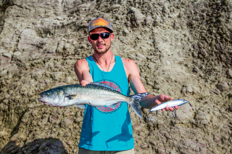 Stickbait fishing off the rocks Tips and tricks The Fishing site