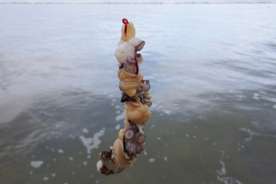 Surfcasting - tips for reading the beach