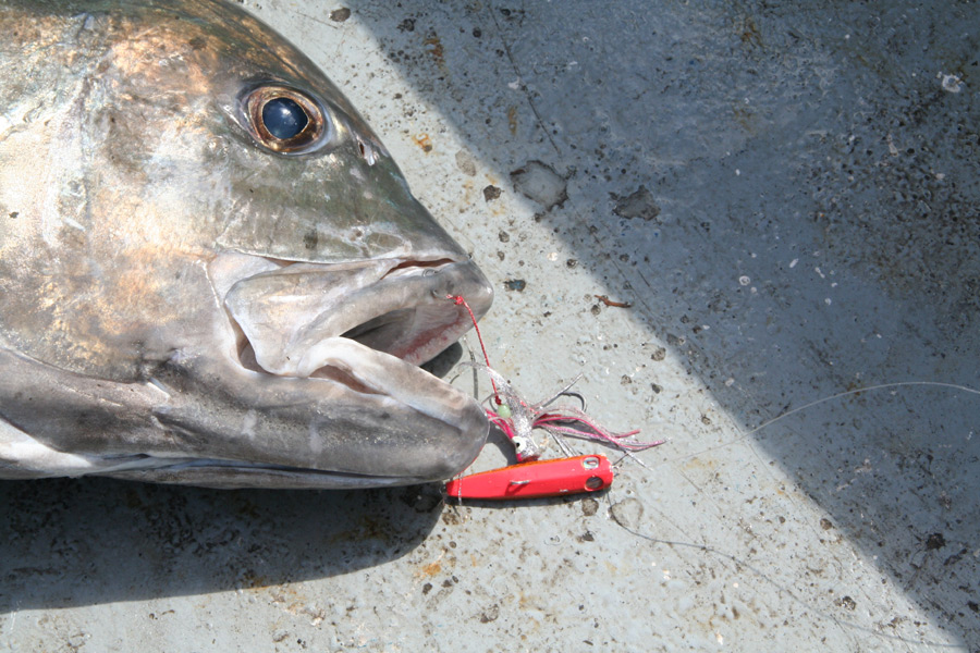 Top tips for rigging leaders The Fishing site