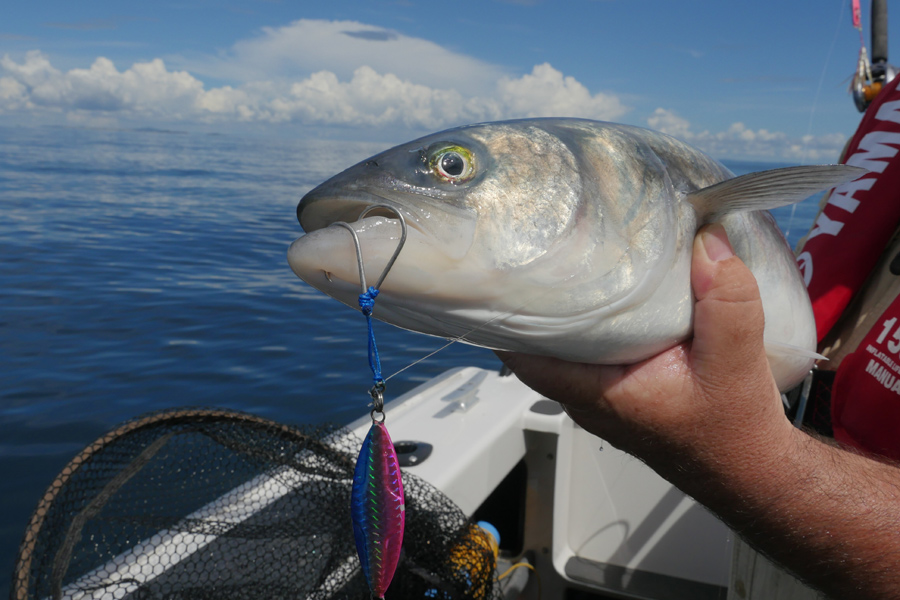 Top tips for rigging leaders The Fishing site