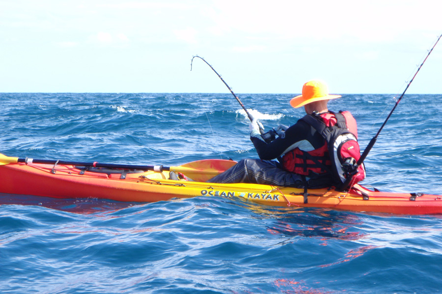 Trolling for albacore