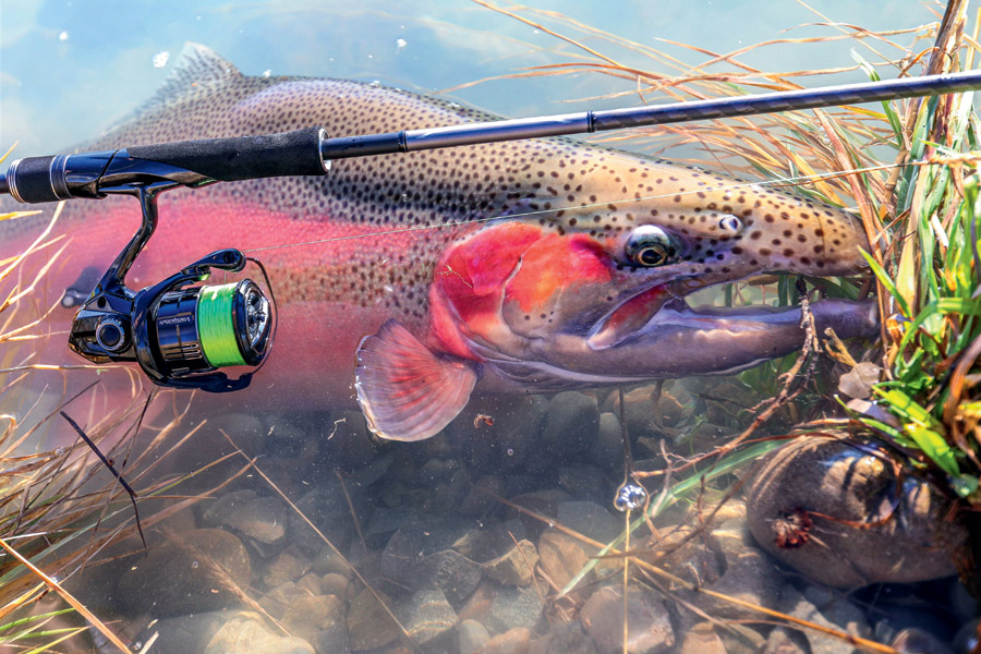 Troutfishing In The Twizel Hydro Canals