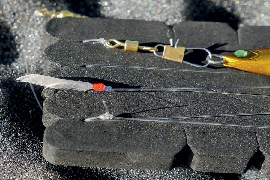 Using lures to catch live baits The Fishing site