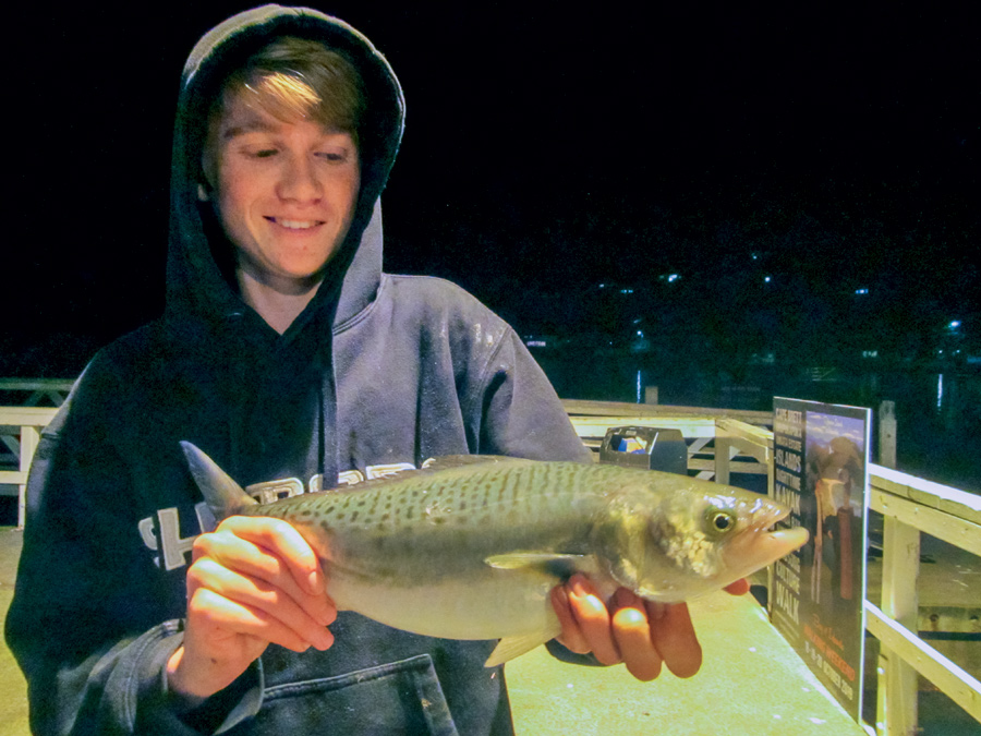 Wharf Fishing In The Evenings The Fishing site
