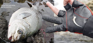 Iso Tsuri fishing