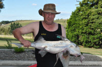 Surfcasting from the beach, elephant fish
