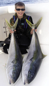 Downrigging for kingfish