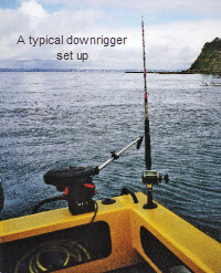 Downrigging for kingfish