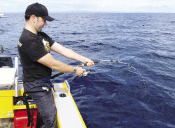 fighting fish on jigs