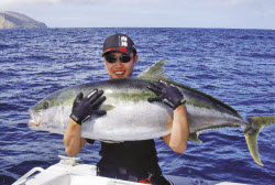 kingfish