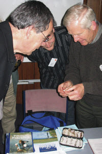 Fly-Tying