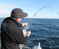 Softbait fishing looking back
