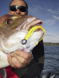 scented soft plastics