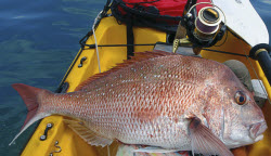 Softbaiting with bait