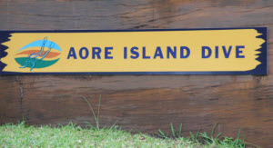 Aore Island dive