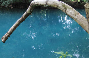 Blue Holes