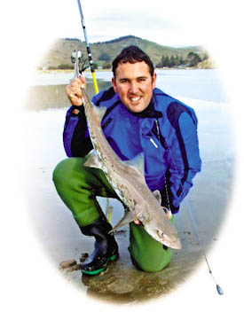Surfcasting catch of smooth hound, rig, or lemon fish