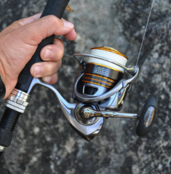 Daiwa Lexa reel review - The Fishing Website