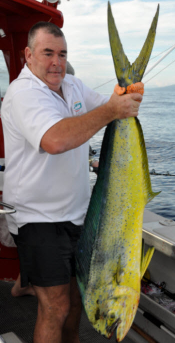 mahi fish