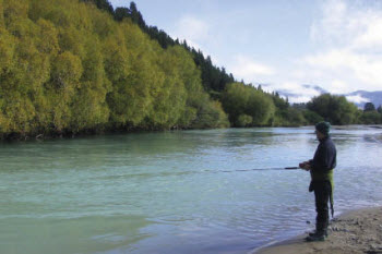 Catching Salmon