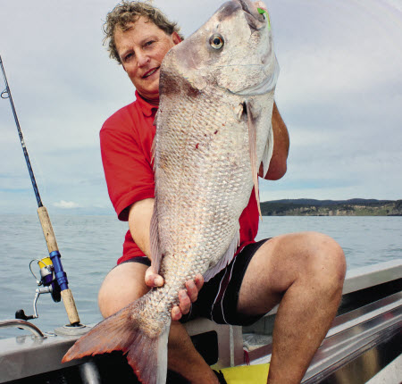 What size softbait to use