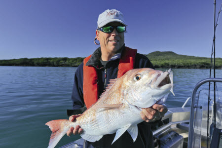 What size softbait to use