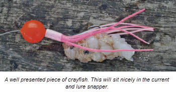 Surfcasting for snapper