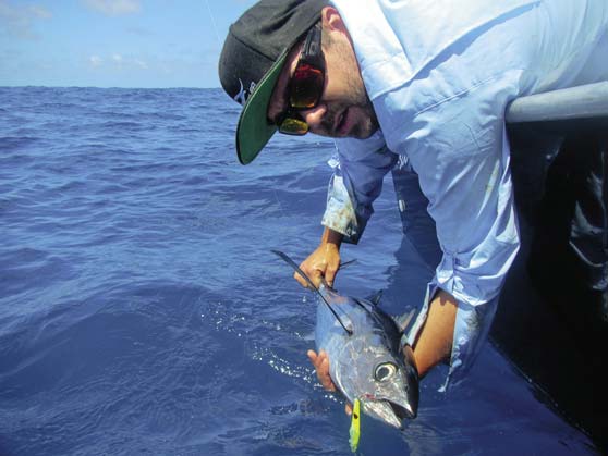 Michael Walkey albacore