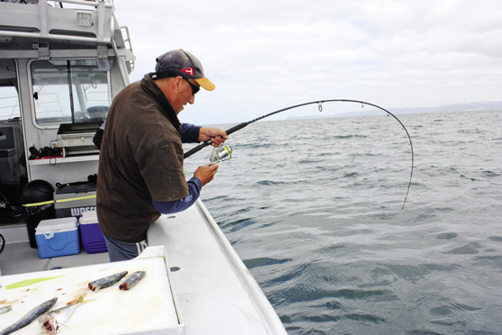 Braid - what you need to know - The Fishing Website