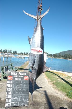 Epic Adventures - Coromandel, NZ - The Fishing Website