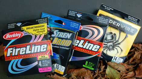 berkley Fireline is a good reliable option