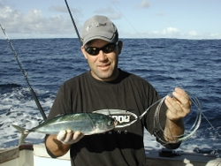rigging dead bait