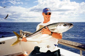 kingfish