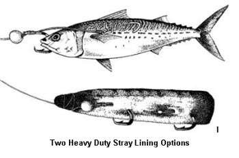 Snapper Fishing - 101 hot tips - The Fishing Website