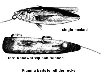 100 tips for catching snapper
