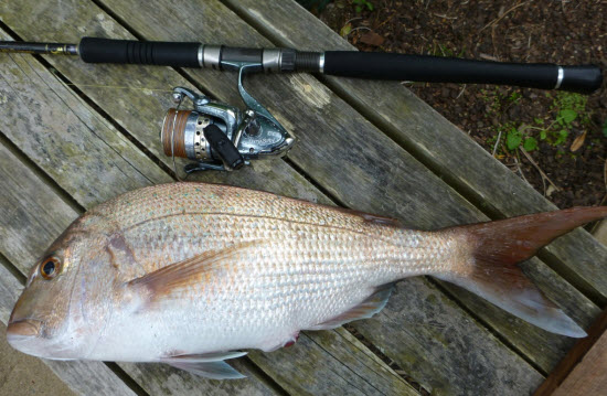 Kilwell xantu Clearance