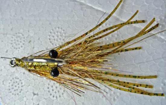 analising flies