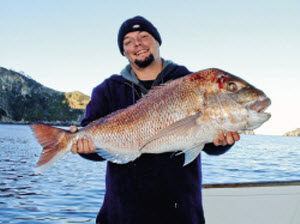 Back to bait basics - The Fishing Website