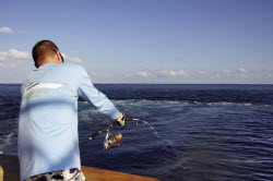 Catching blue marlin on spin