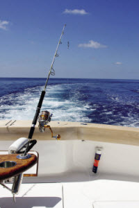 Catching blue marlin on spin