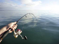 Draging Soft Plastics