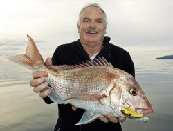 Snapper on hard-bodied lures