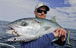 Poppers versus Stick baits