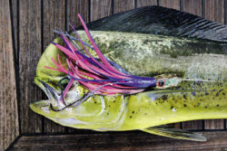 Trolling smaller lures