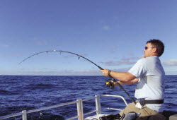 Stickbaits and surface fishing techniques